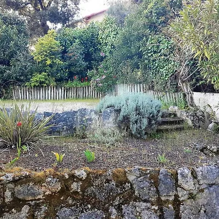 Palais Sur - Maison Mitoyenne - Proximité Et Centre